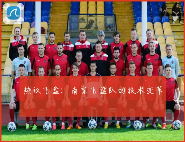 热议飞盘：南京飞盘队的技术变革