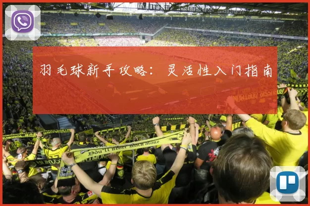 羽毛球新手攻略：灵活性入门指南