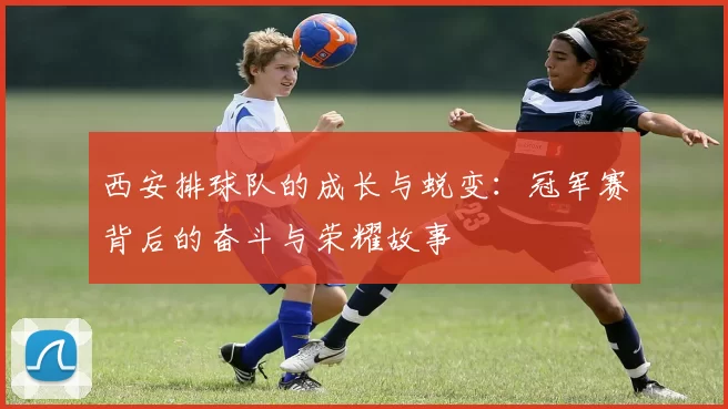 西安排球队的成长与蜕变：冠军赛背后的奋斗与荣耀故事