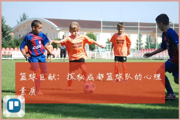 篮球巨献：探秘成都篮球队的心理素质