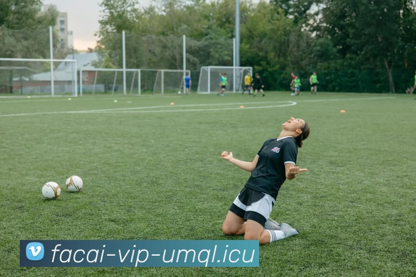 爱游戏体育APP 封面图